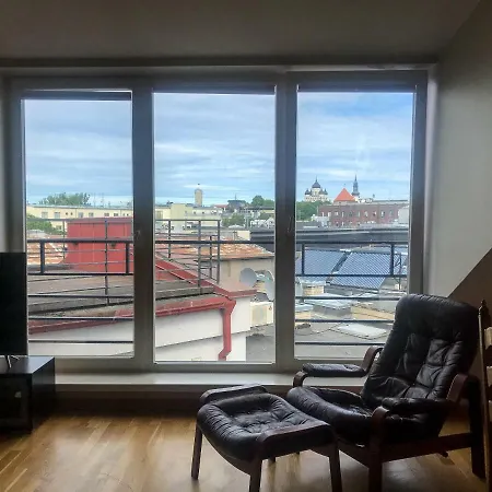 Luxury Penthouse With Sauna And Terrace Appartement